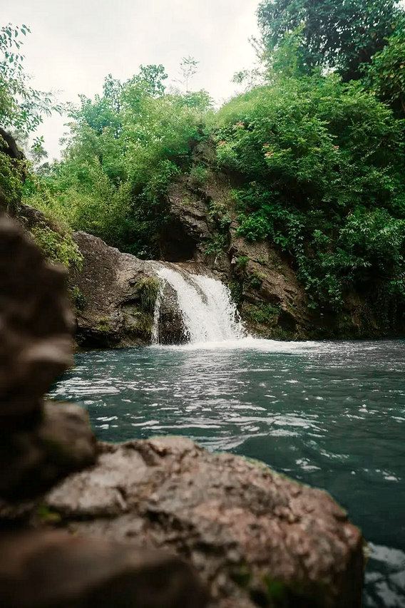 A small waterfall spilling into a clear green pool among rocks and trees