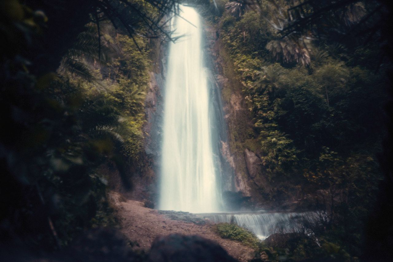 A tall waterfall dropping through dark forest