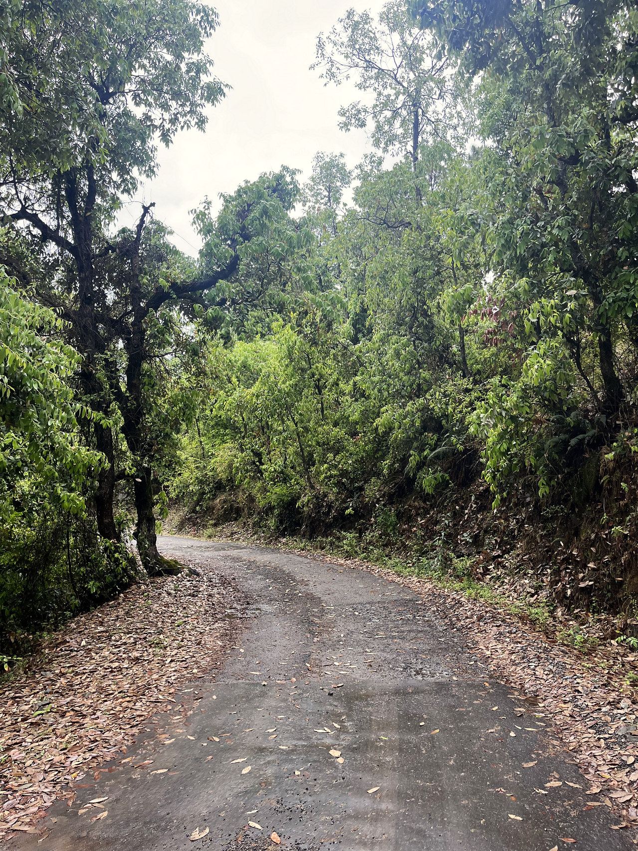 The link road