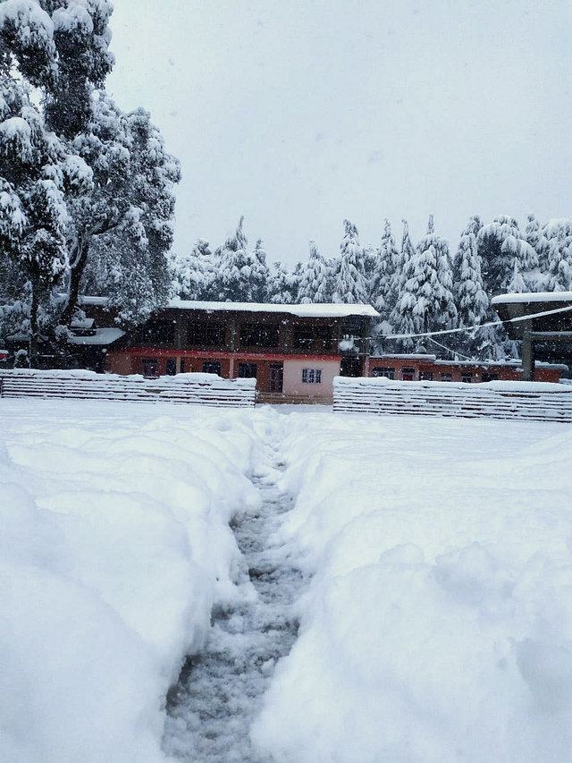 Snow